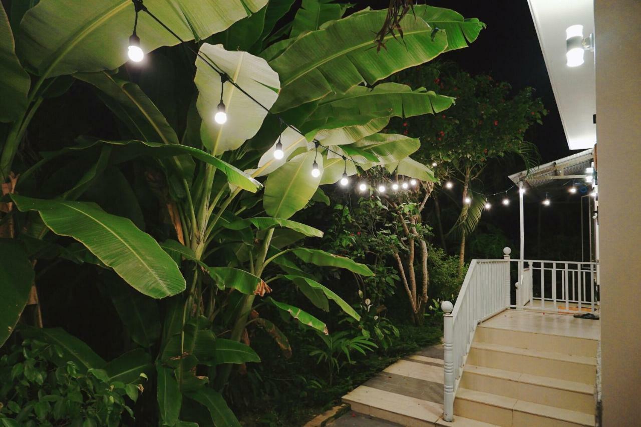 Longan Homestay Hội An Kültér fotó
