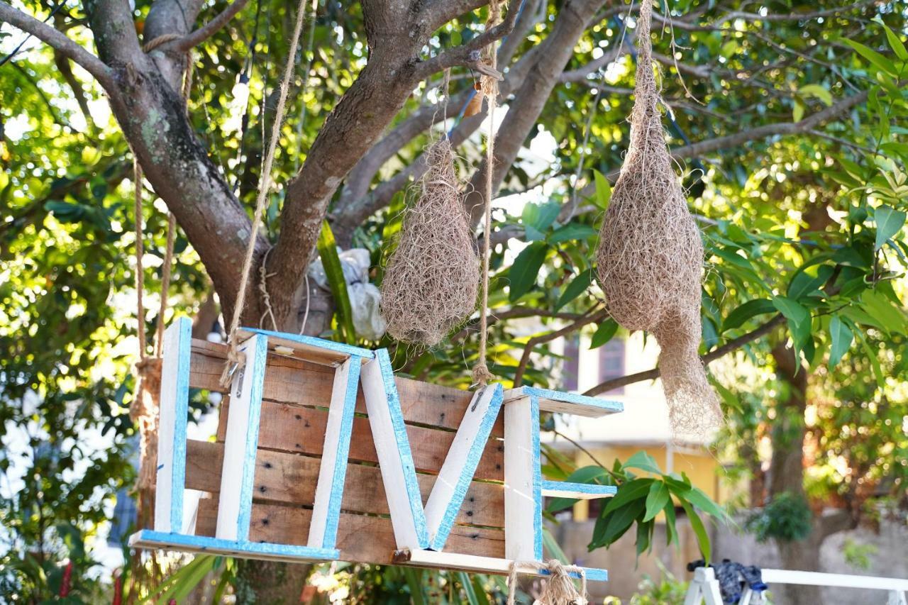 Longan Homestay Hội An Kültér fotó