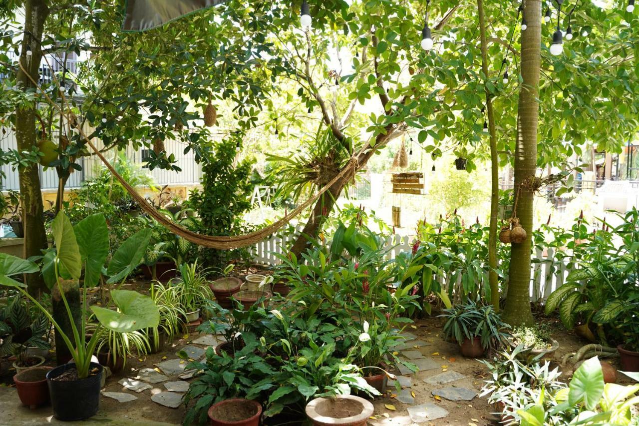 Longan Homestay Hội An Kültér fotó
